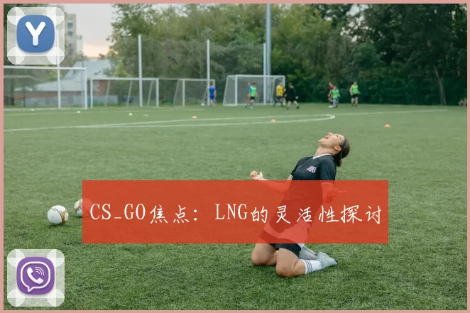 CS_GO焦点：LNG的灵活性探讨