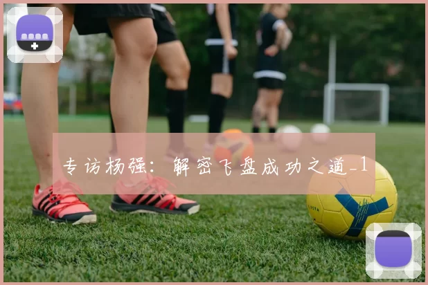 专访杨强：解密飞盘成功之道_1