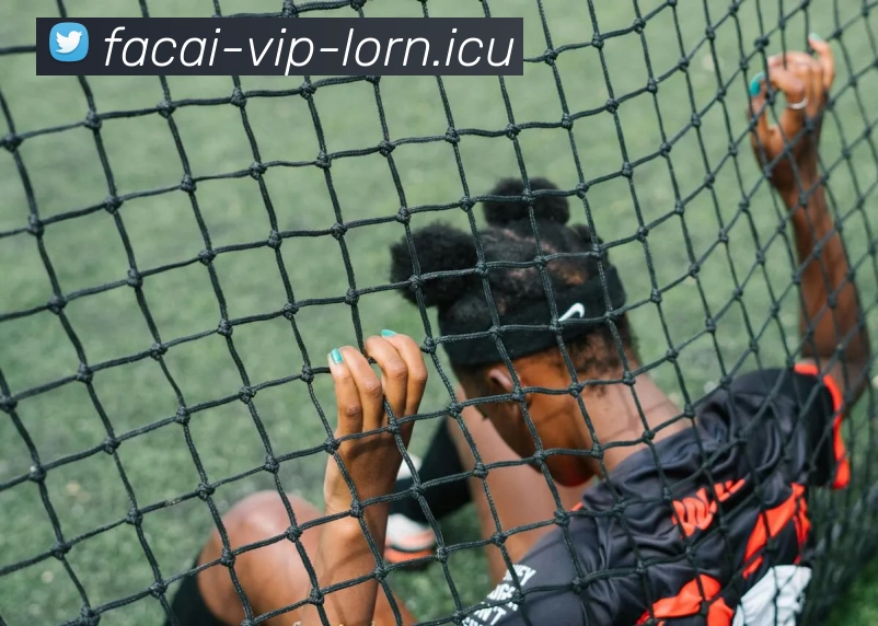 开云体育APP 体育赛事宣传图